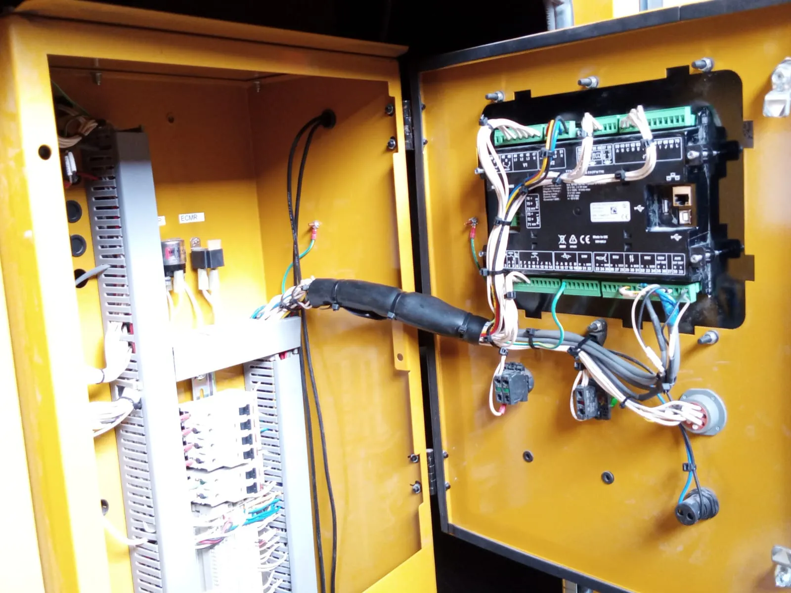 Rear of a Deep Sea generator controller on the cabinet door with the wiring loom routed